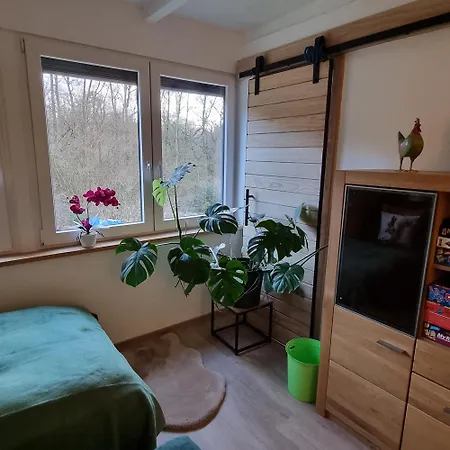 Apartamento Exklusive Hattorfer Teiche Wolfsburgo